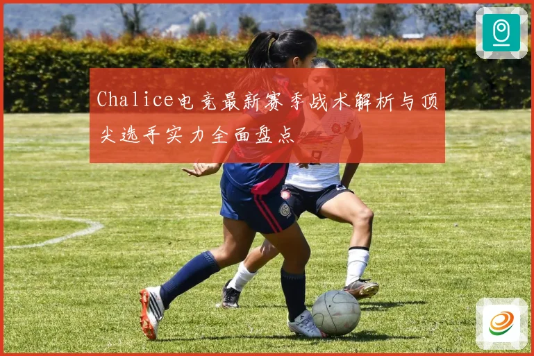 Chalice电竞最新赛季战术解析与顶尖选手实力全面盘点