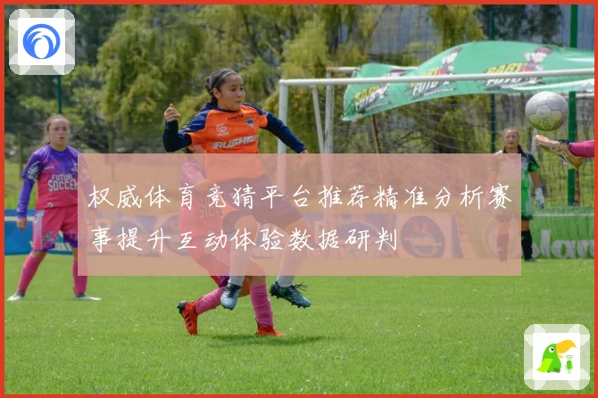 权威体育竞猜平台推荐精准分析赛事提升互动体验数据研判