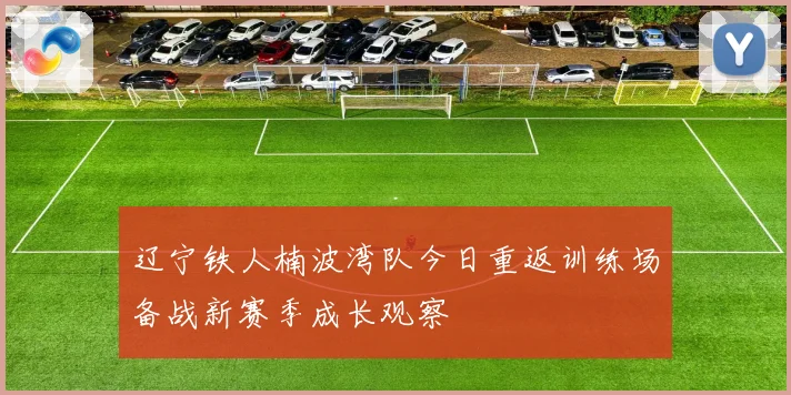 辽宁铁人楠波湾队今日重返训练场备战新赛季成长观察