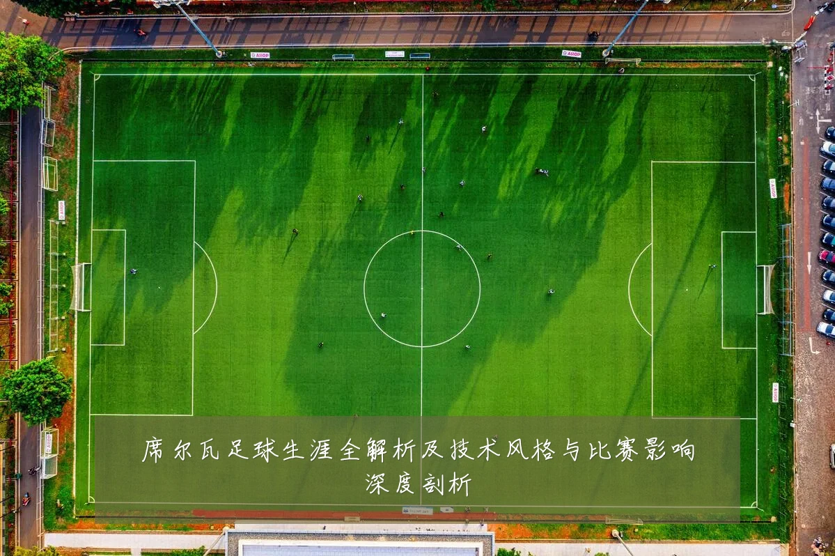 席尔瓦足球生涯全解析及技术风格与比赛影响深度剖析